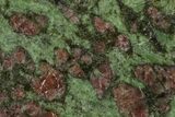Polished Pyrope, Forsterite, Diopside & Omphacite Section- Norway #131437-1